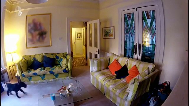 Mettono telecamere nascoste per controllare i loro cani: Ciò che scoprono li commuove