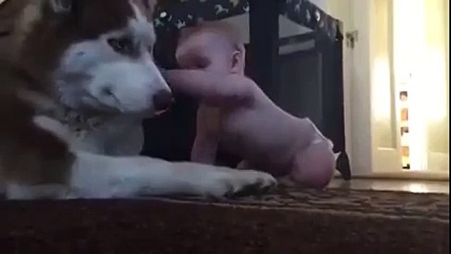 Он пытался быть суровым до последнего