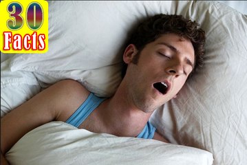 30 list of Facts About Sleep That Will Surprise You