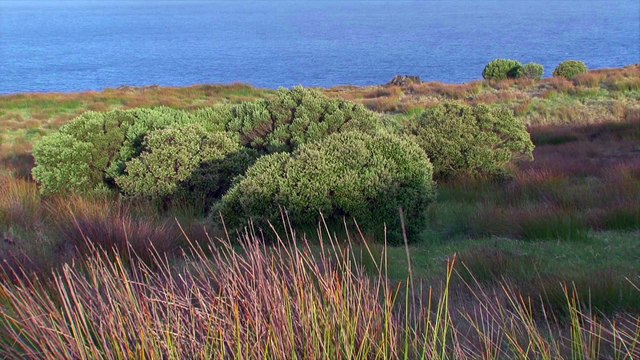 La réserve naturelle nationale des Terres australes françaises