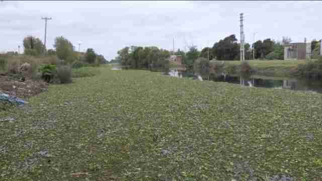 Entre fábricas y uno de los ríos más contaminados del mundo, viven en Villa Inflamable
