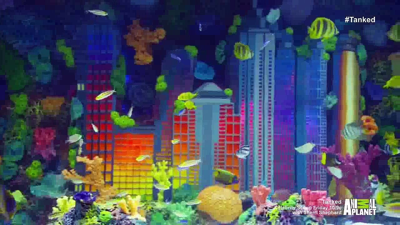 Tanked Season 08 Episode 06  Prince Royce's Royal Tank