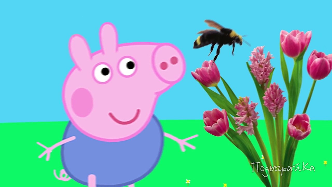 Peppa Pig New episodes. A bee sting! Peppa Pig