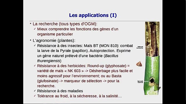 Les OGM pour les nuls, Christophe d'Hulst, Lille, 31 mars 2016