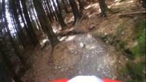 Descenso MTB Ballinastoe (2/3)