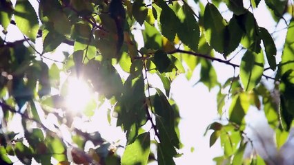 ATS SPORT - Teaser Dossier Duo