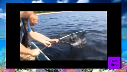 Funny Fishing Bloopers 2016 Fail # 1