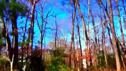 INVADERS HUGE SUCCESS!!!!