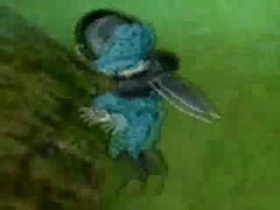 Final Battle Saga - Episode 8 - Big trouble