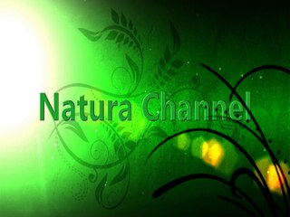 cazador cazado parte 7