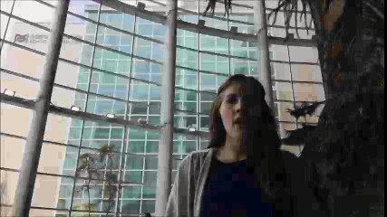 MEDRAD 3DH3: Palliative Care  INTRO