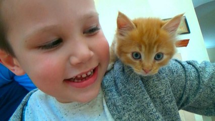Кошечка Мурка покупаем питомца Максу и Кате ВЛОГ 2016 на рынке животных новое видеоKitten pet for Mister Max