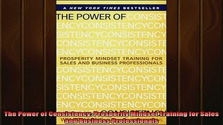 READ book  The Power of Consistency Prosperity Mindset Training for Sales and Business Professionals Online Free
