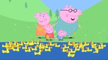 Peppa Pig   Camping Holiday clip