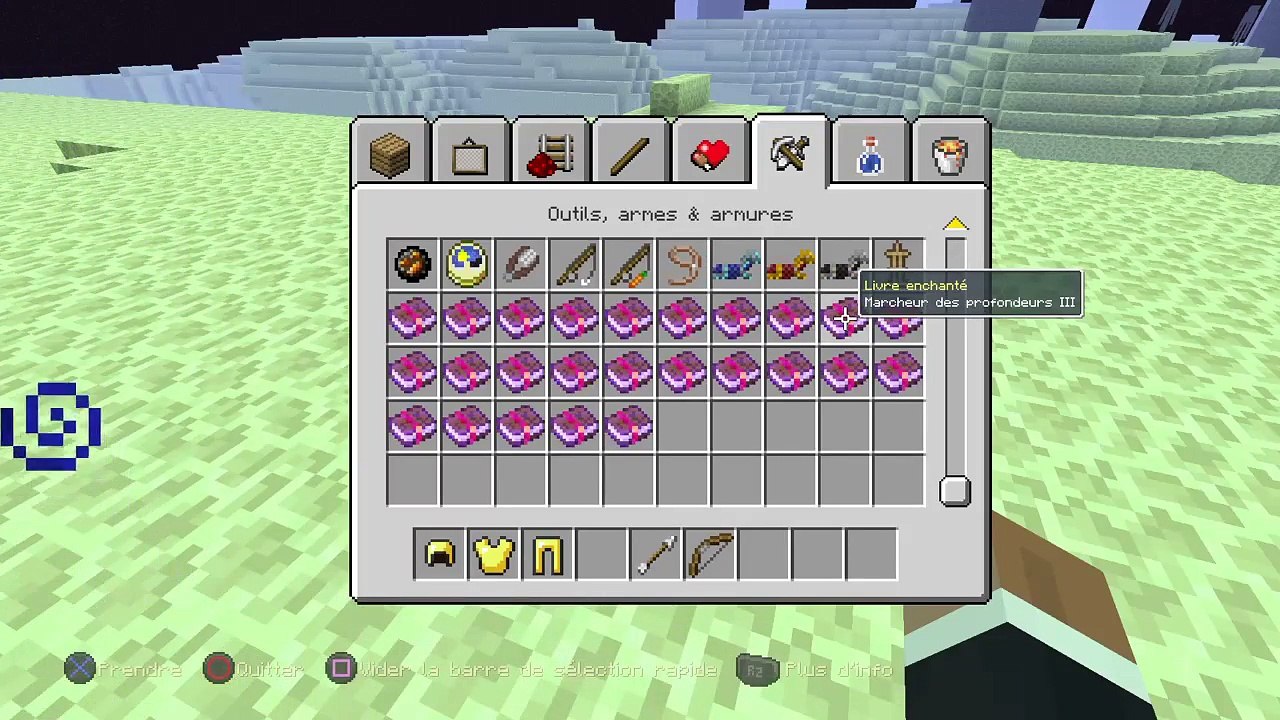 JE SUIS RENTRER DANS L'ENDER (27)