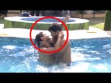 Bigg Boss 9 - Keith & Suyash KISS In Swimming Pool - LEAKED