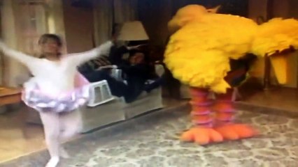 Big Bird and Gabi dance Rock Lobster