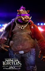 Teenage Mutant Ninja Turtles- Out of the Shadows (2016) - Casey Jones