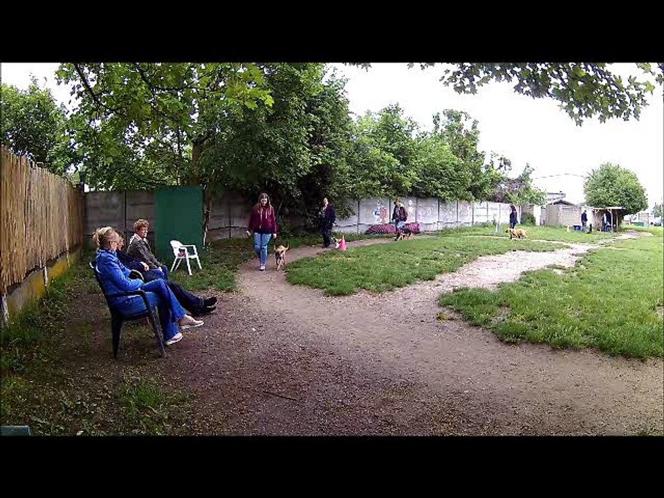 MC , 5éme séance de dressage