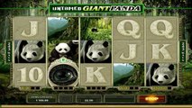 Untamed Giant Panda ilmainen kasino kolikkopeli Microgaming Video Esikatselu