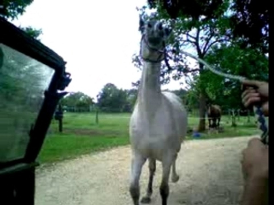 Magic khan voiture 1
