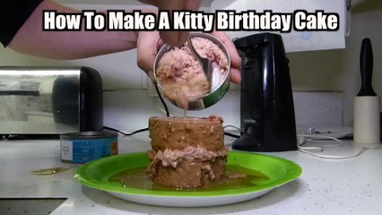 Talking Kitty Cat 35 - Sylvester s Birthday 2014