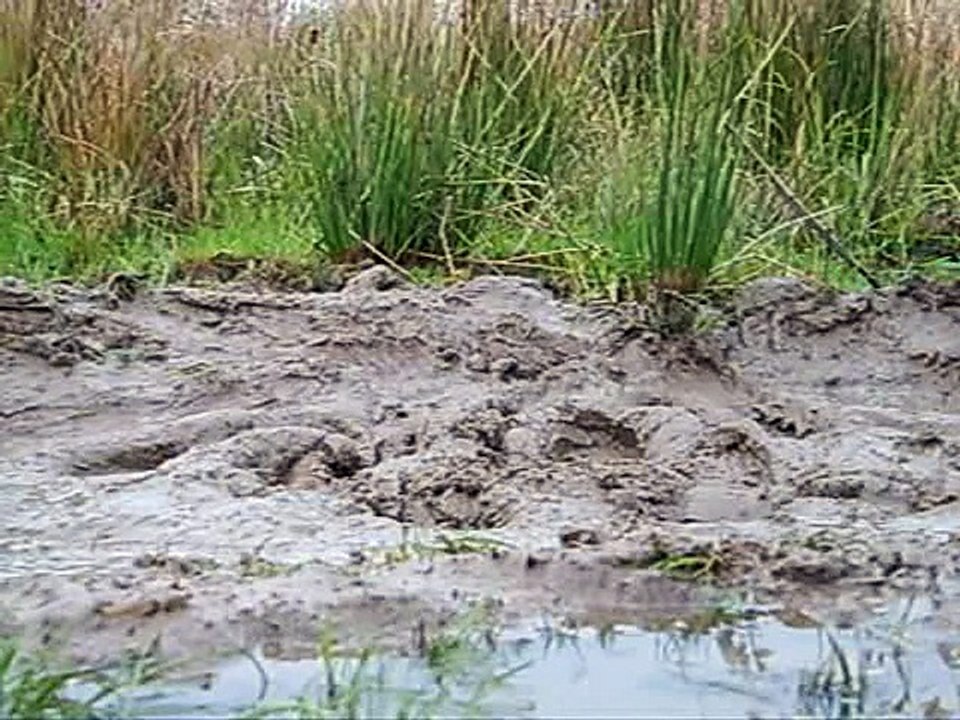 Boots in mud 2