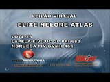 LEILÃO VIRTUAL NELORE ATLAS - LOTE 23 - APELA FIV LUC 2L - PRI 682 E NORUEGA FIV - GVMH 463
