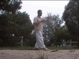 tai ji quan style hong