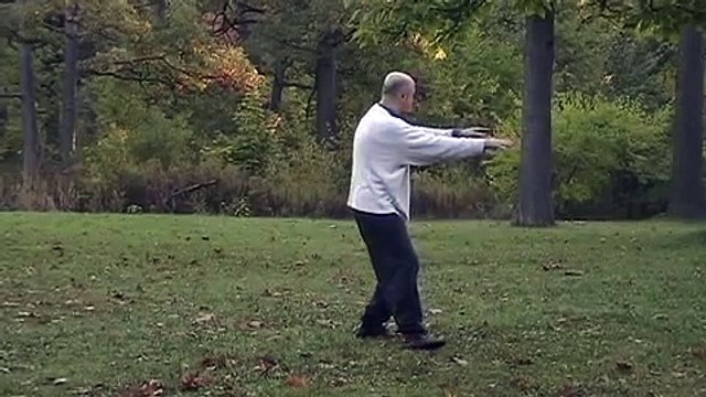 Tai chi Yang style, long form part 3 iPhone