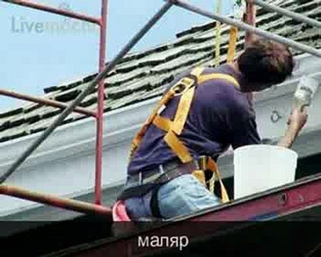 Курс английского языка Livemocha. 48 / 50. Словарь [2011]