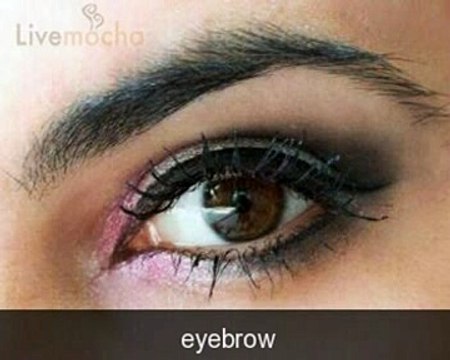 Курс английского языка Livemocha. 49 / 50. Словарь [2011]