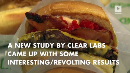 Your burger might have a little bit of rat or human in it, NBD