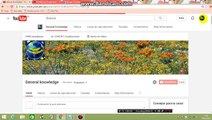 Cómo comprobar o ajustar la configuración de anuncios de Google en su canal de YouTube