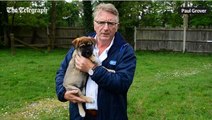 The Telegraph_  RSPCA boss says sorry for blunders and admits charity was too political 13May16