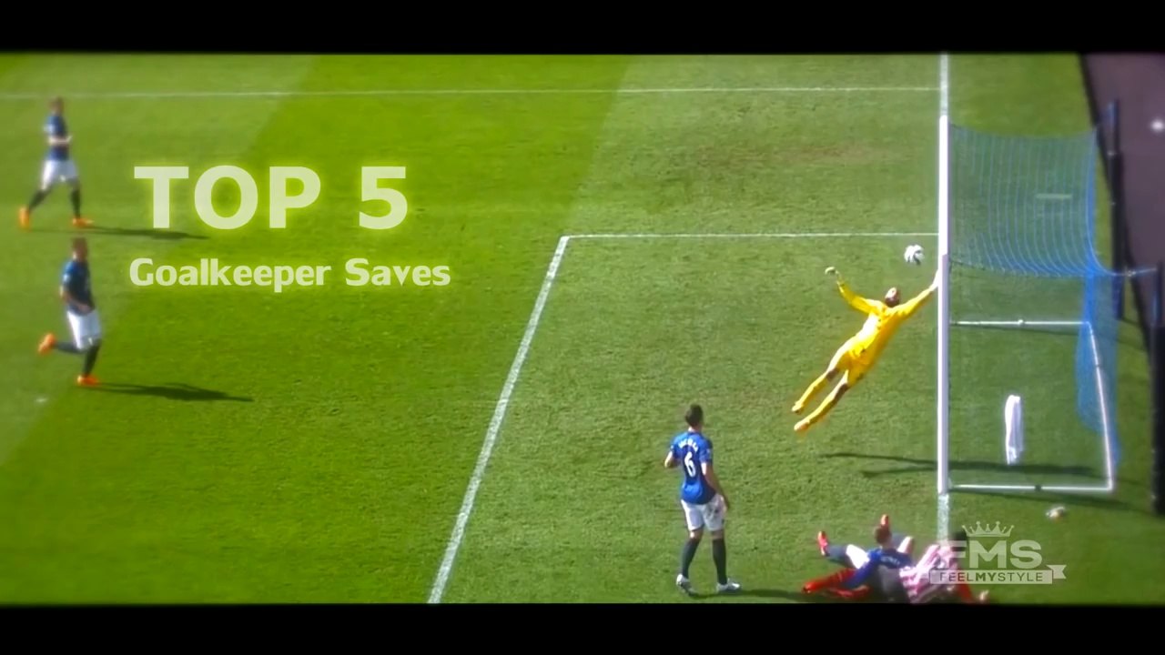TOP 5 - Saves of the Year 2015