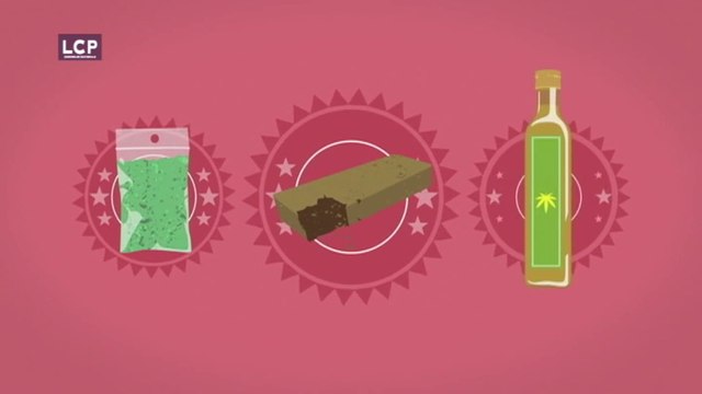 Flash Talk : Cannabis, pour ou contre la légalisation ? (Mai 2016) (FR)