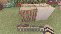 Minecraft: 5 Facts you didnt know about Trees