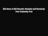 Download BIG Ideas to BIG Results: Remake and Recharge Your Company Fast Ebook Free