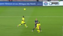 Ibra Scores His Last Goal In Ligue 1 vs Nantes (4-0) HD