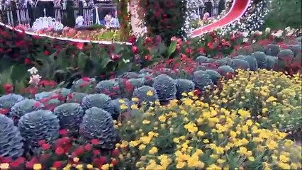 MIRACLE GARDEN DUBAI