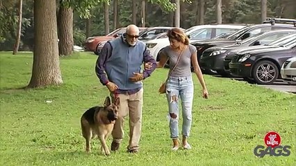 Dog Rips Arm Off Prank