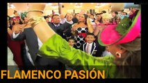 ▶ La Mejor Boda Gitana 2016 Full HD.