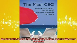 Downlaod Full PDF Free  The Maui CEO Import from China Sell on eBay and Live Wherever You Want Online Free