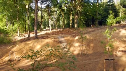 Zeppo Adventures at Koningsberg, Rozendaal