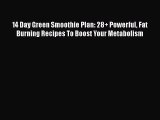 Download 14 Day Green Smoothie Plan: 28  Powerful Fat Burning Recipes To Boost Your Metabolism