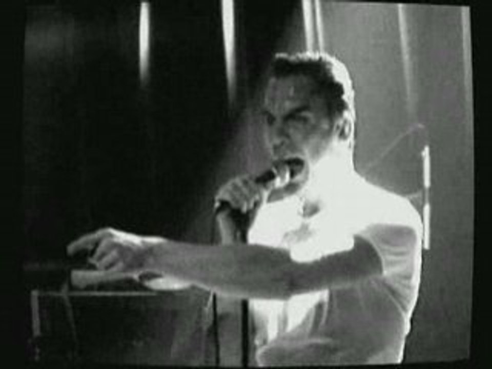 The Fingertips - " Wounded animal"