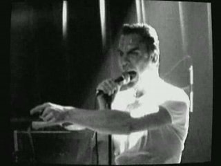 The Fingertips - " Wounded animal"