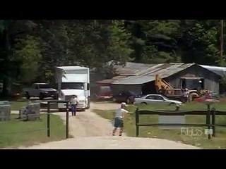 Shirley and Jenny- Two Elephants Reunited After More Than 20 Years