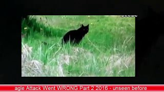 agle Attack Went WRONG Part 2 2016 -  unseen before